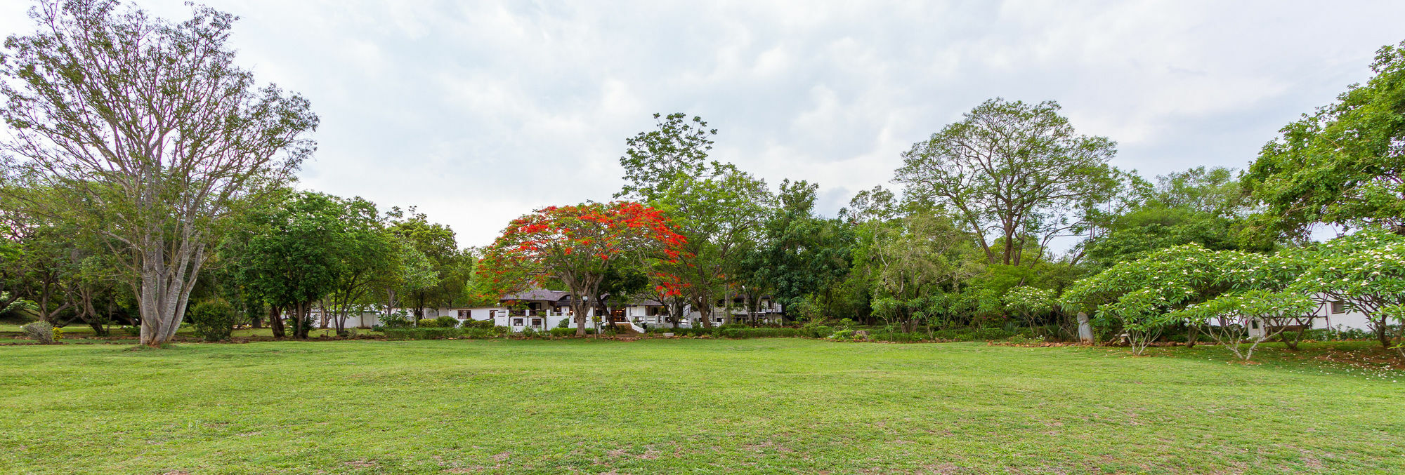 Rissington Inn Hazyview Bagian luar foto